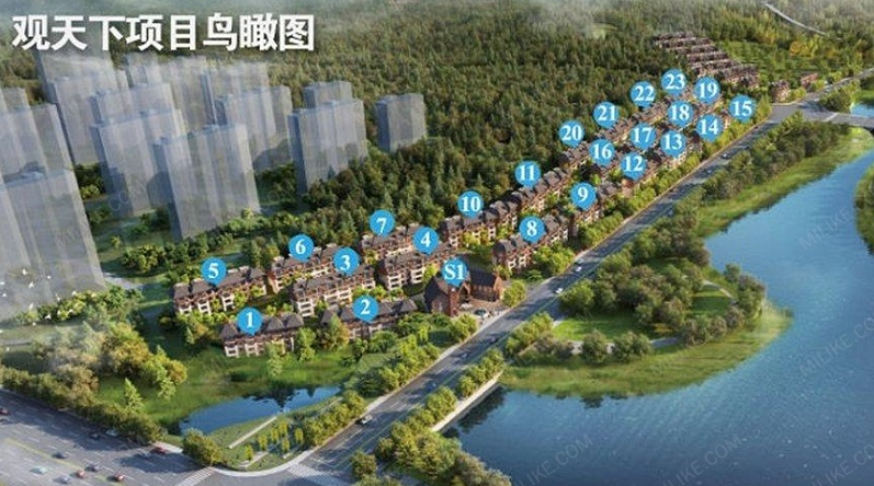 金科观天下